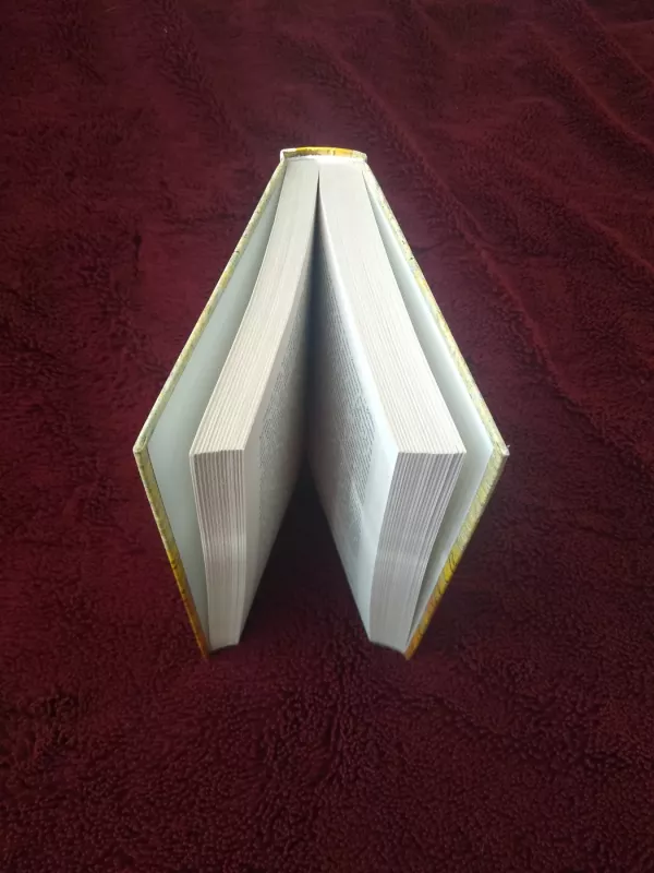 Citadelė - Antoine de Saint-Exupéry, knyga 3