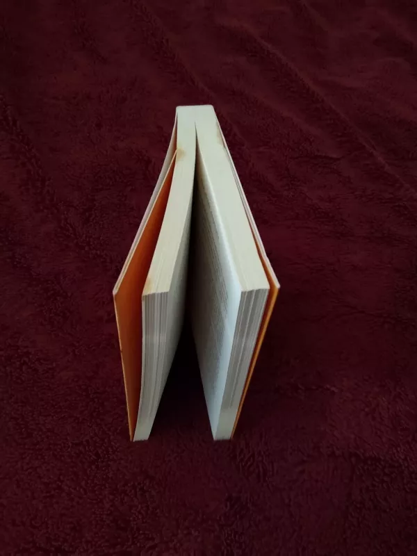 Gyvenimas anapus - Sylvia Browne, knyga 3