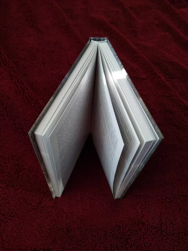 Noras gyventi geriau - Petras Česnulevičius, knyga 3