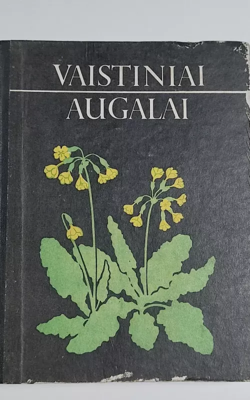 Vaistiniai augalai - Autorių Kolektyvas, knyga