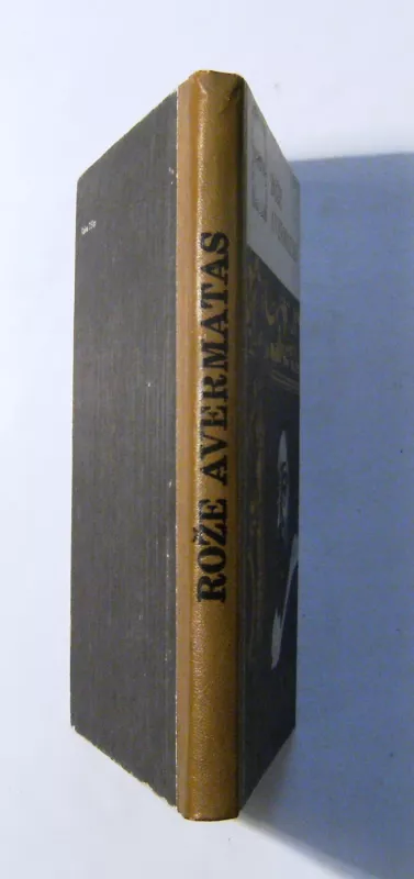 Rubensas - Rože Avermatas, knyga 5