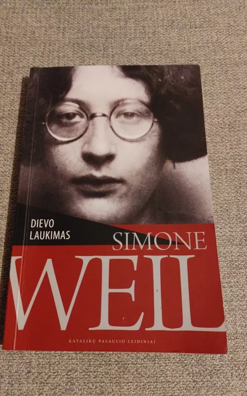 Dievo laukimas - Simone Well, knyga