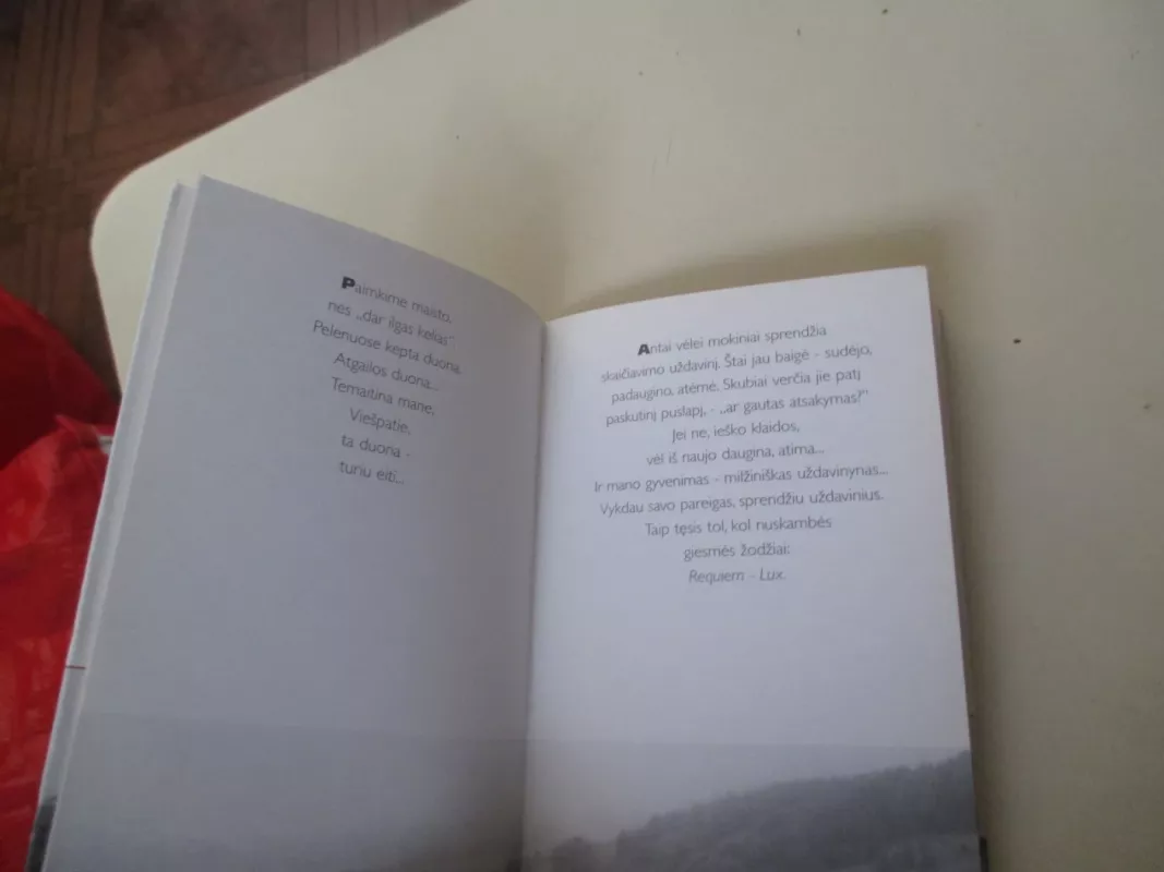 Atsidūsėjimai - Stanislovas Tėvas, knyga 5