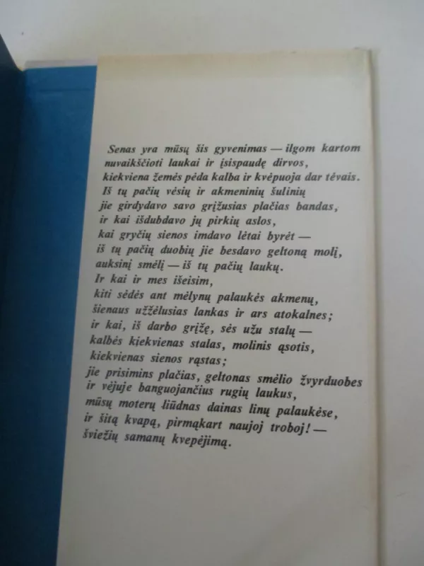 Poezija - Jonas Mekas, knyga 4