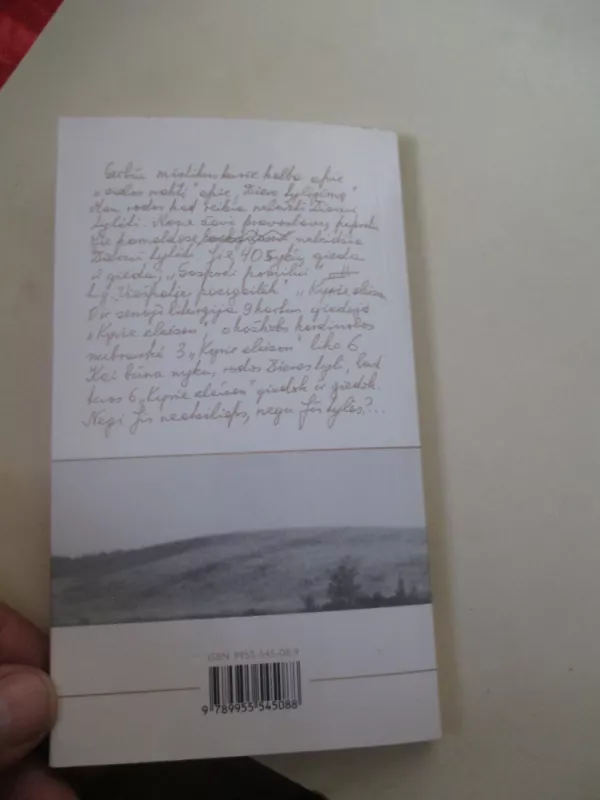 Atsidūsėjimai - Stanislovas Tėvas, knyga 4