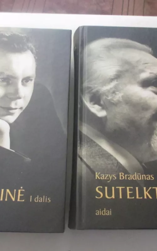 Sutelktinė (2 tomai) - Kazys Bradūnas, knyga 2