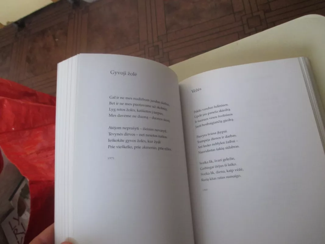 Šviesa pro lapus: rinktiniai eilėraščiai - Alfonsas Maldonis, knyga 6