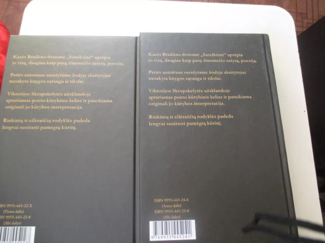 Sutelktinė (2 tomai) - Kazys Bradūnas, knyga 5