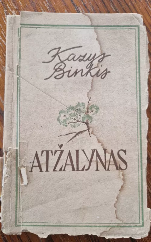 Atžalynas - Kazys Binkis, knyga