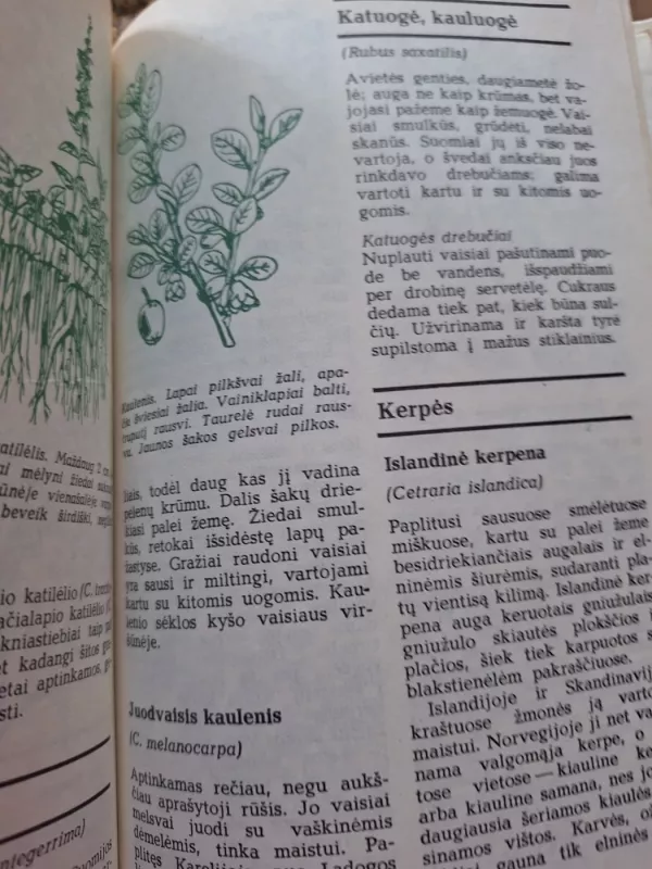 Kam tinka augalai? - T. Rautavara, knyga 3