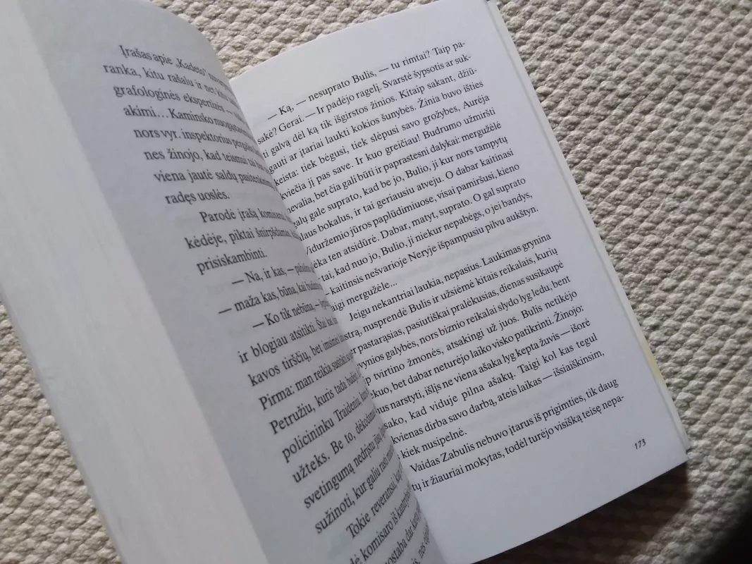 Nuodėmių atleidimas - Raidas Dubrė, knyga 3