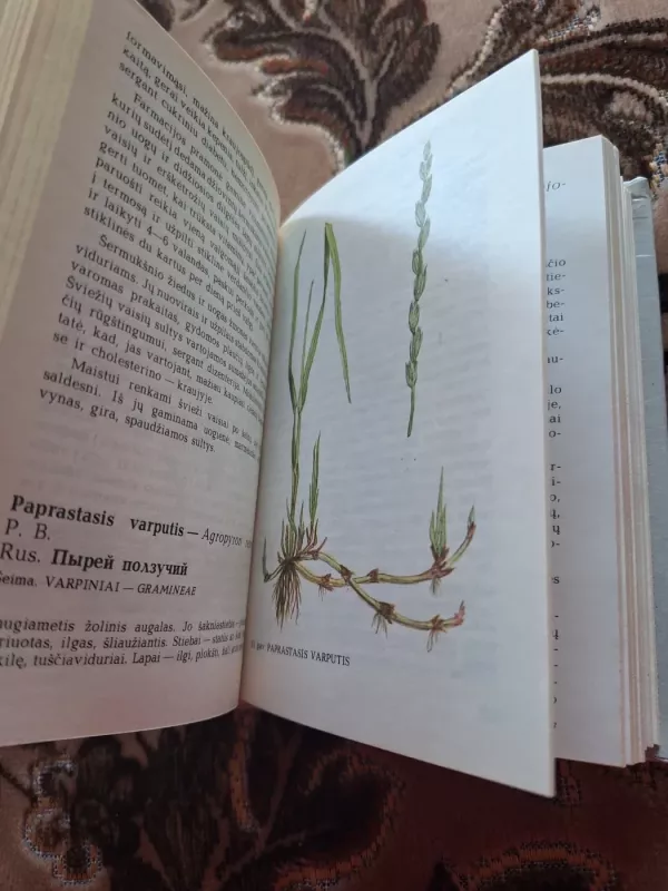 Augalai ir sveikata - Juozas Vasiliauskas, knyga 5
