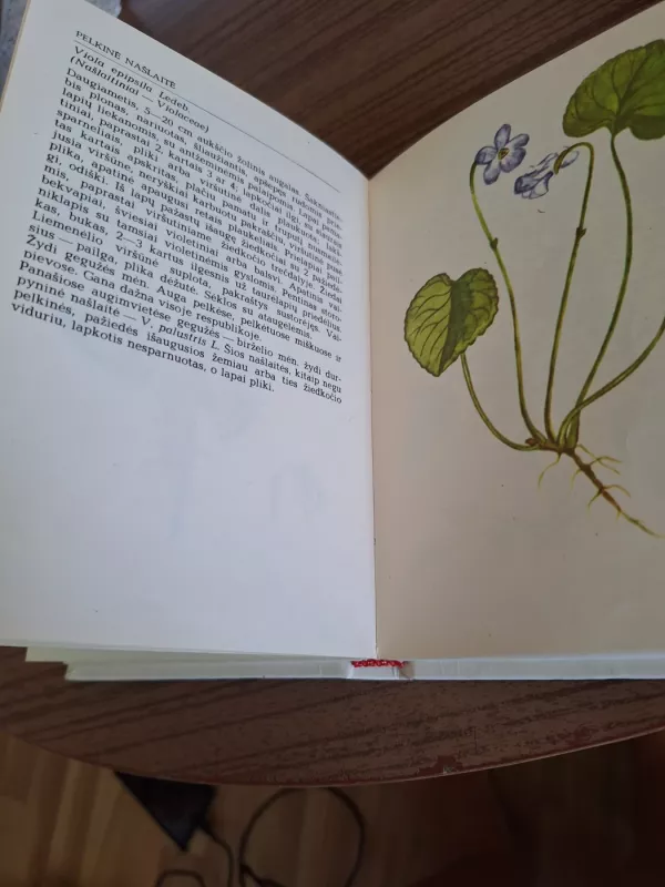 Pavasarį žydintys augalai - Živilė Lazdauskaitė, knyga 6