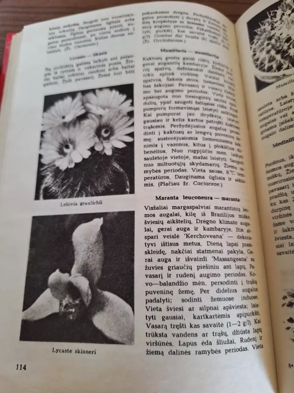 Tūkstantis patarimų gėlių augintojui - P.G. Vilhelmas, knyga 6