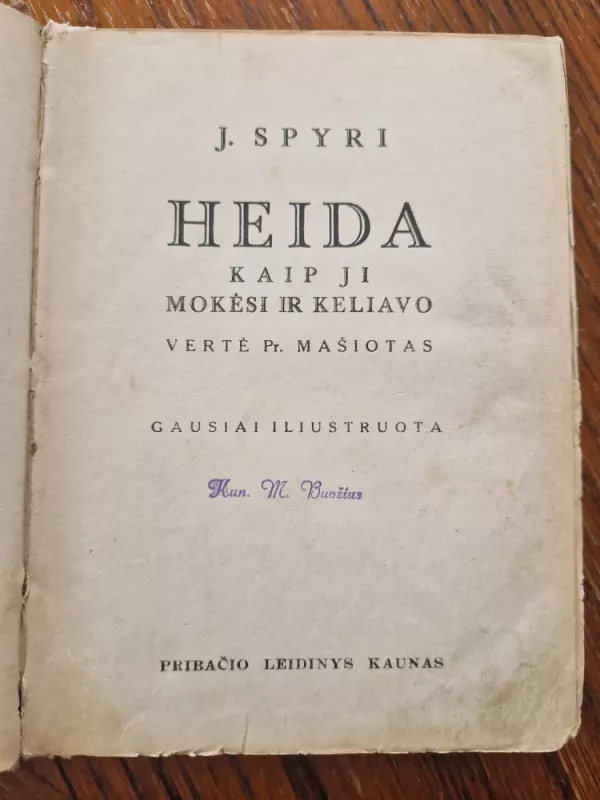 Heida Kaip Heida mokėsi ir keliavo - Johanna Spyri, knyga 3