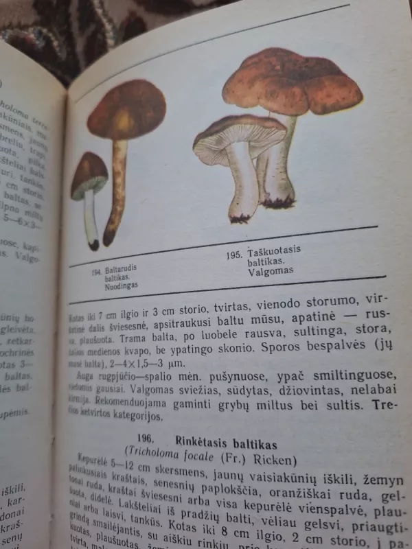 Lietuvos grybai - J. Mazelaitis, A.  Gricius, knyga 4
