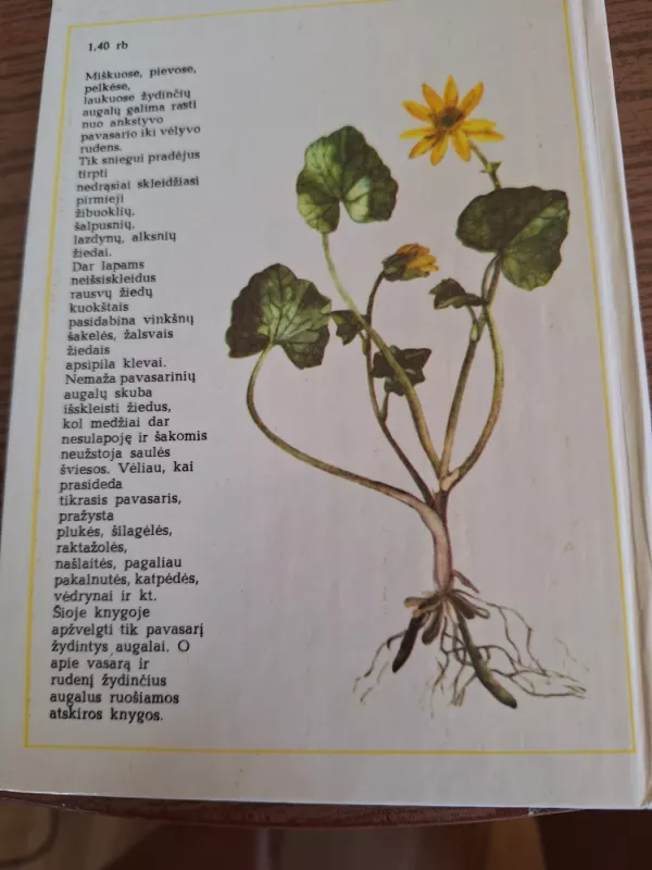 Pavasarį žydintys augalai - Živilė Lazdauskaitė, knyga 3