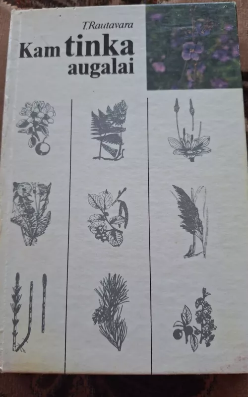 Kam tinka augalai? - T. Rautavara, knyga 2