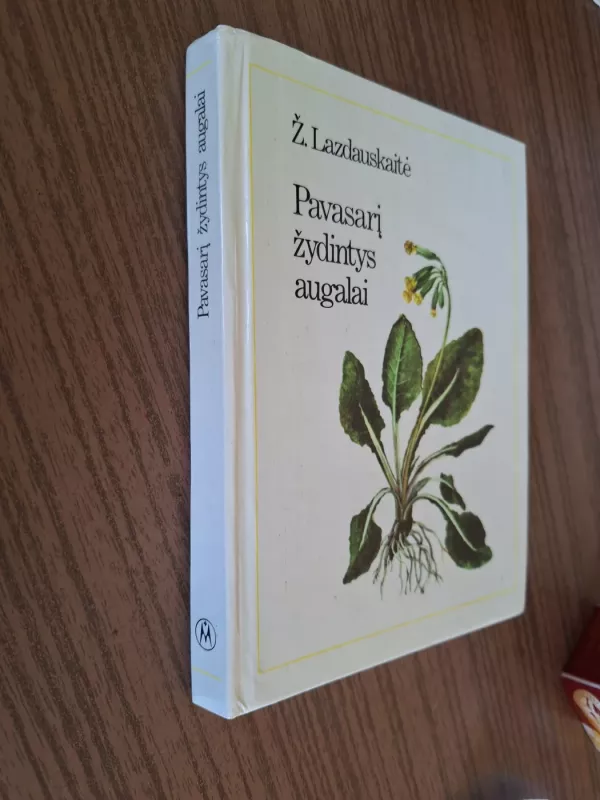 Pavasarį žydintys augalai - Živilė Lazdauskaitė, knyga 4