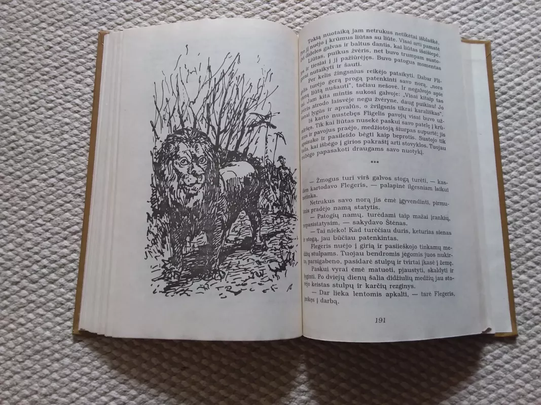 Afrikos Robinzonas - Josef Fyra, knyga 4