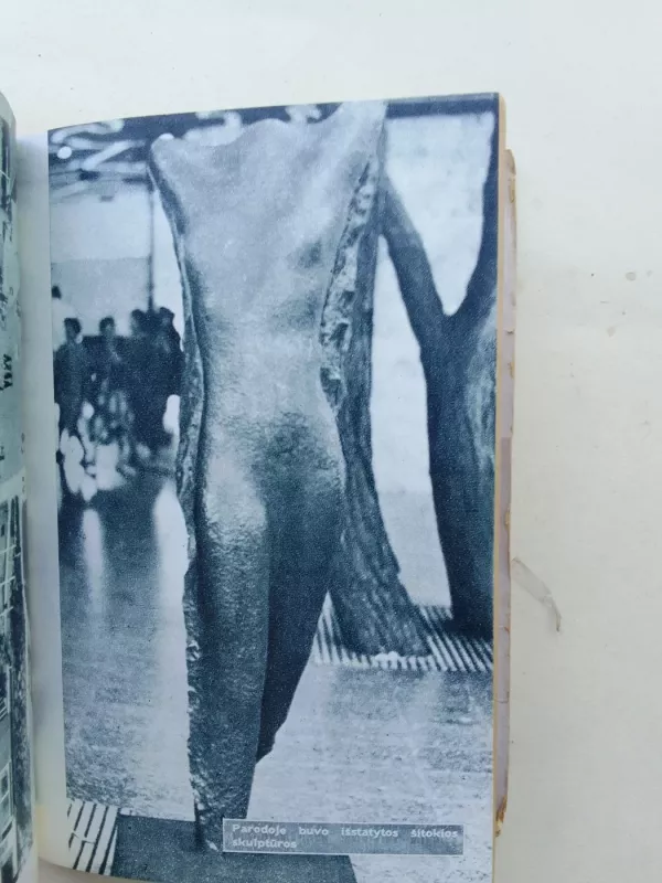 Briuselio parodos įspūdžiai - Genrikas Zimanas, knyga 5