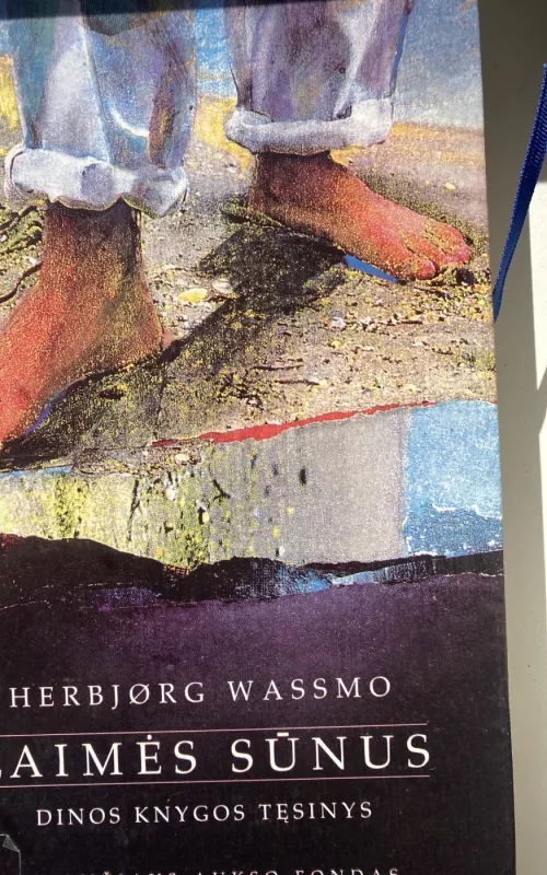 Dinos knyga - Herbjørg Wassmo, knyga 3