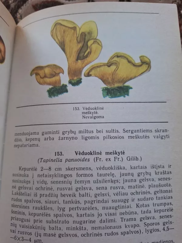 Lietuvos grybai - J. Mazelaitis, A.  Gricius, knyga 5