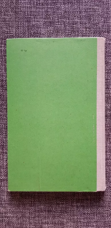 Meisteris ir sūnūs - Petras Cvirka, knyga 3