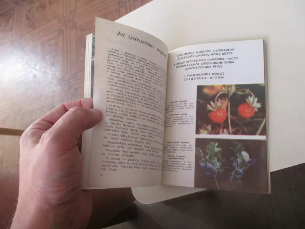 Miškų lankytojams - V. Červokas, knyga 5