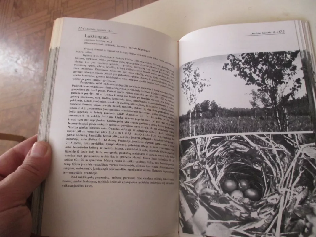 Lietuvos miškų paukščiai - Autorių Kolektyvas, knyga 6