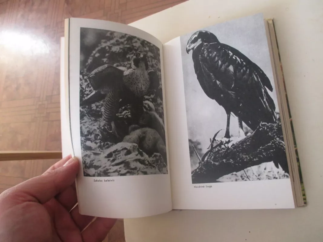 Pasaulio paukščiai - Tadas Ivanauskas, knyga 5