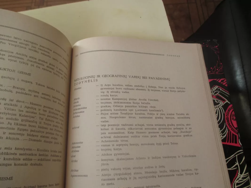 Eneida - Autorių Kolektyvas, knyga 6