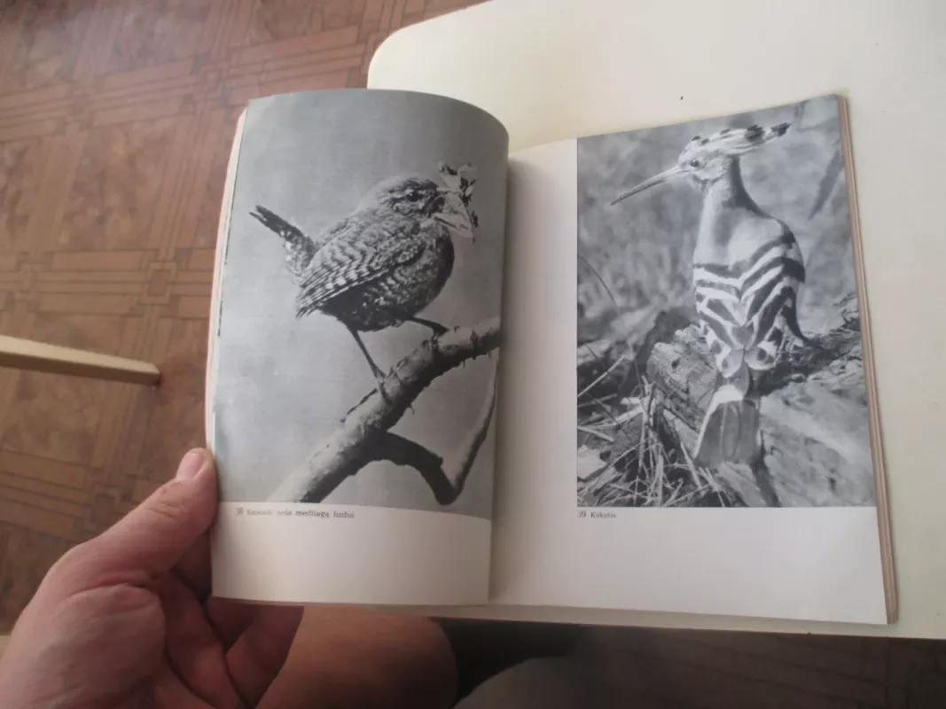 Lietuvos sparnuočiai - J. Stasinas, knyga 5