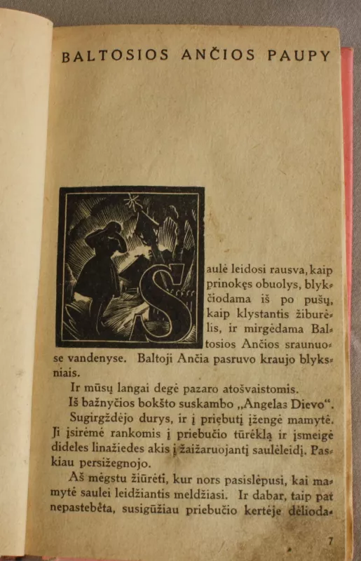 Nusidėjėlė, 1-2-3 dalys - Karolė Pažėraitė, knyga 4