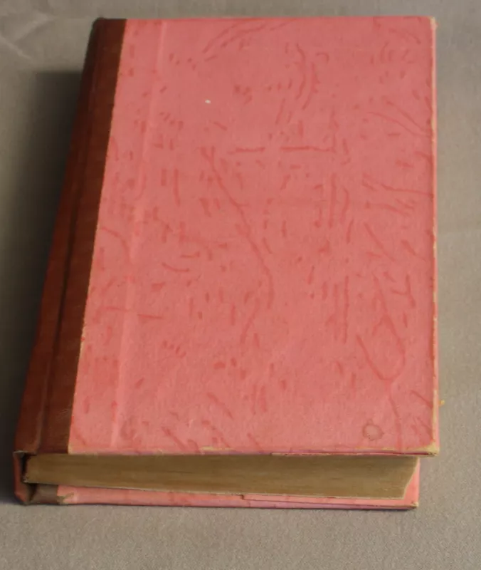 Nusidėjėlė, 1-2-3 dalys - Karolė Pažėraitė, knyga 3