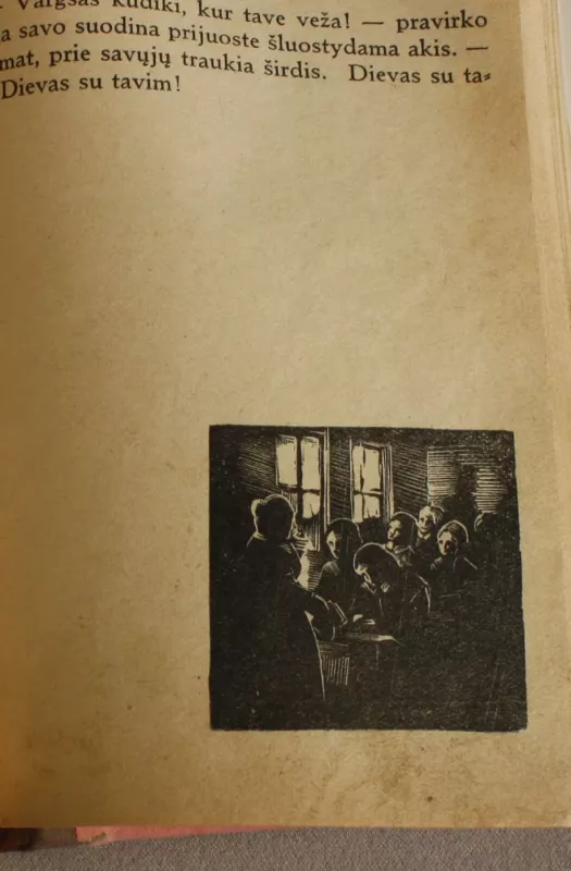 Nusidėjėlė, 1-2-3 dalys - Karolė Pažėraitė, knyga 5