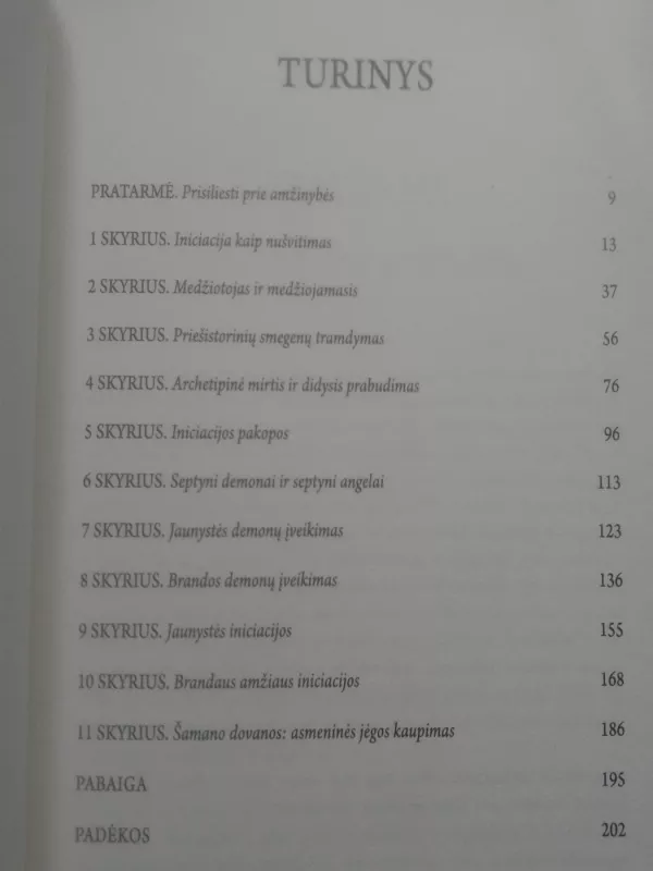 Nušvitimas. Šamano kelias į išgijimą - Alberto Villoldo, knyga 5
