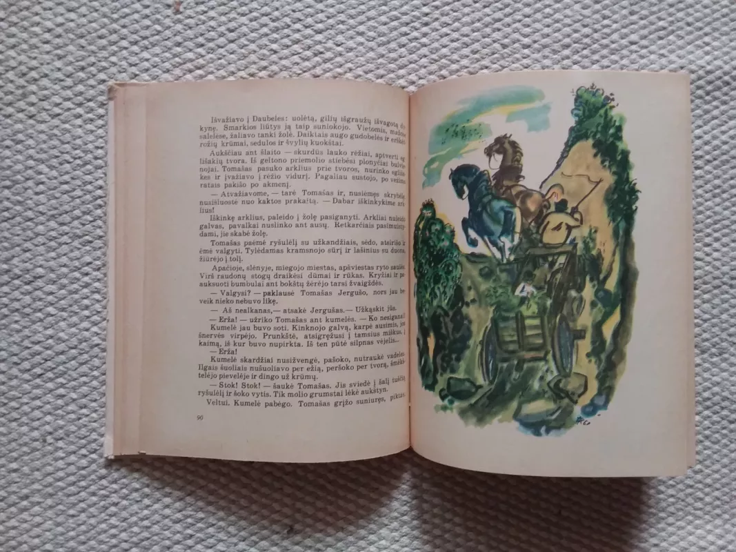 Plėšiko jaunystė - Liudas Ondrejovas, knyga 4