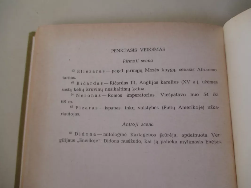 Plėšikai - Fridrichas Šileris, knyga 4