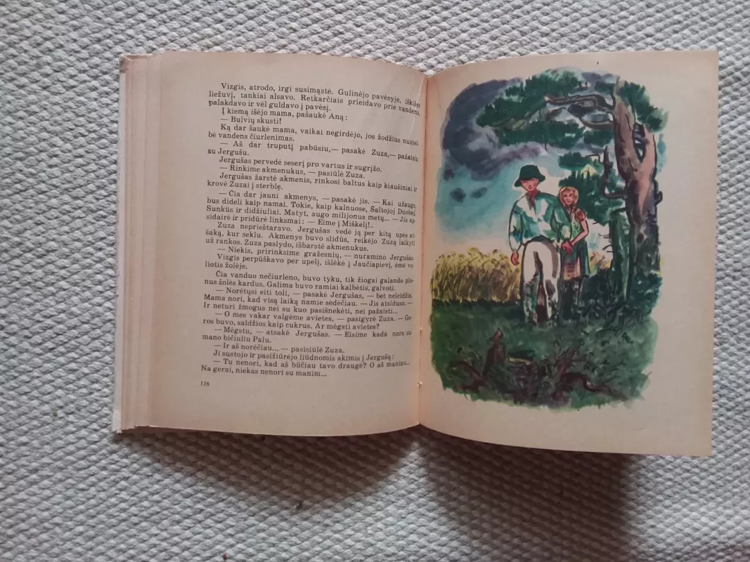 Plėšiko jaunystė - Liudas Ondrejovas, knyga 3