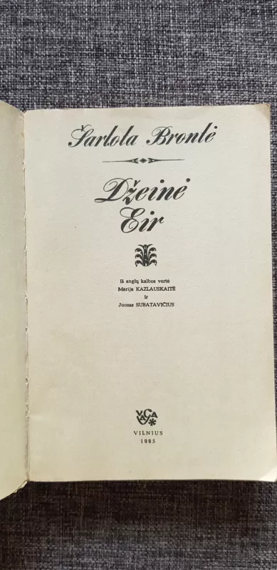 Džeinė Eir - Šarlotė Brontė, knyga 4