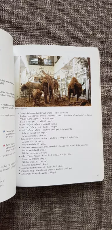 Kauno Tado Ivanausko zoologijos muziejus - Autorių Kolektyvas, knyga 4