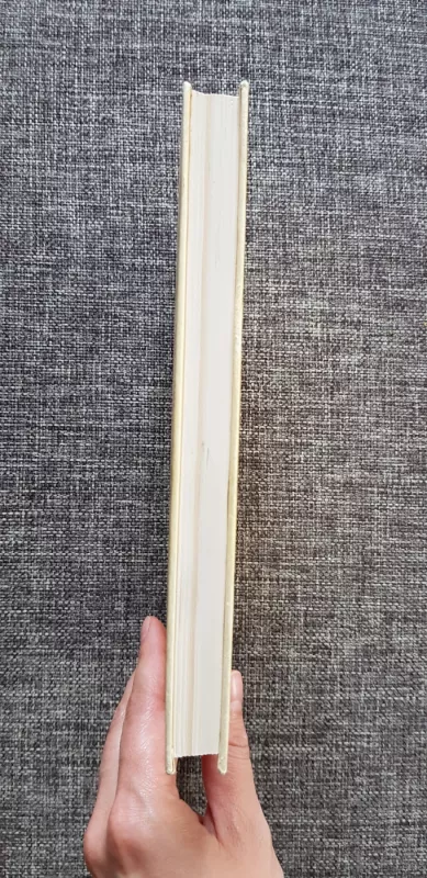 Lietuvių literatūra 11 klasei - Vytautas Galinis, knyga 4