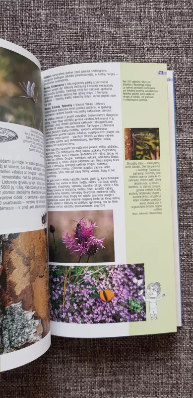 Gamtoje. Kviečia nacionaliniai ir regioniniai parkai - Autorių Kolektyvas, knyga 3