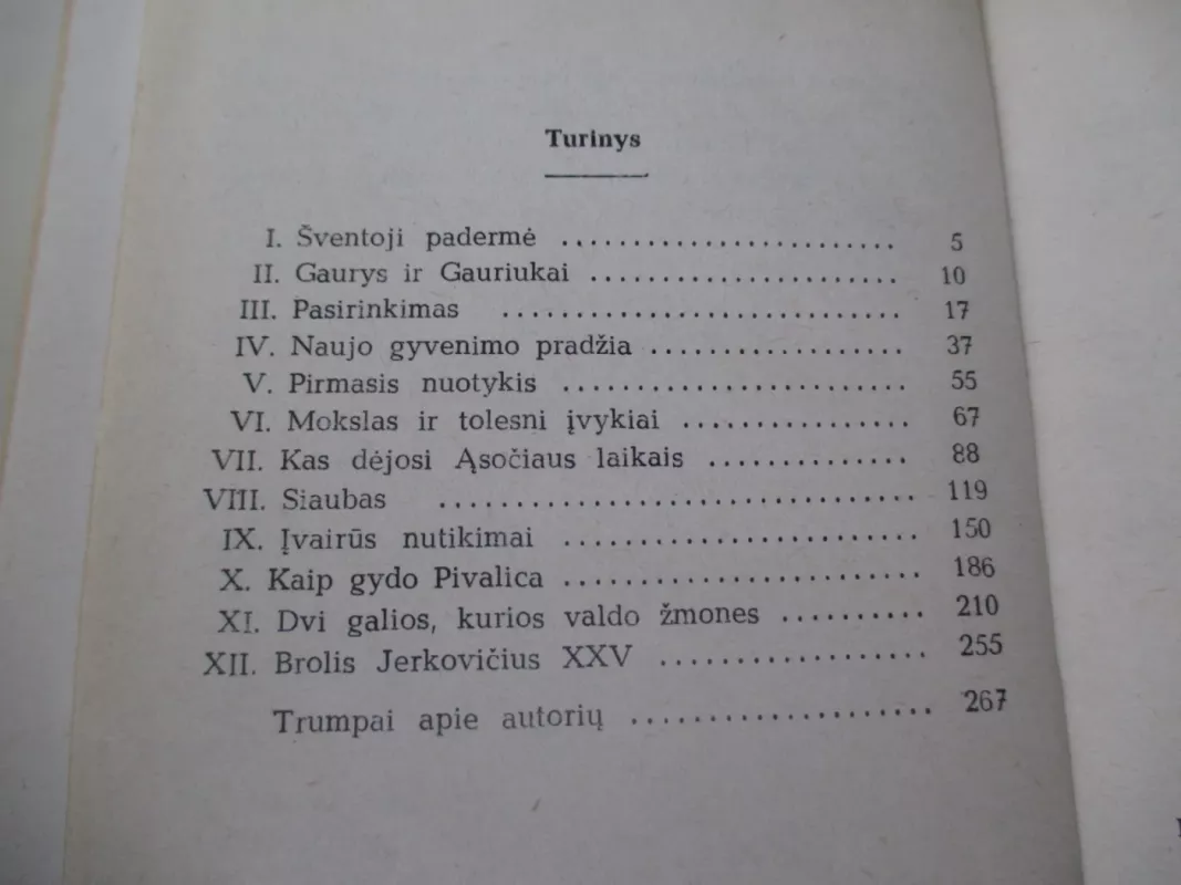Padūkėlis brolis Bernardas - S. Matavulis, knyga 6