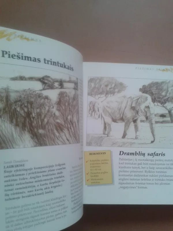 Mažoji dailės enciklopedija - Angela Gair, knyga 5