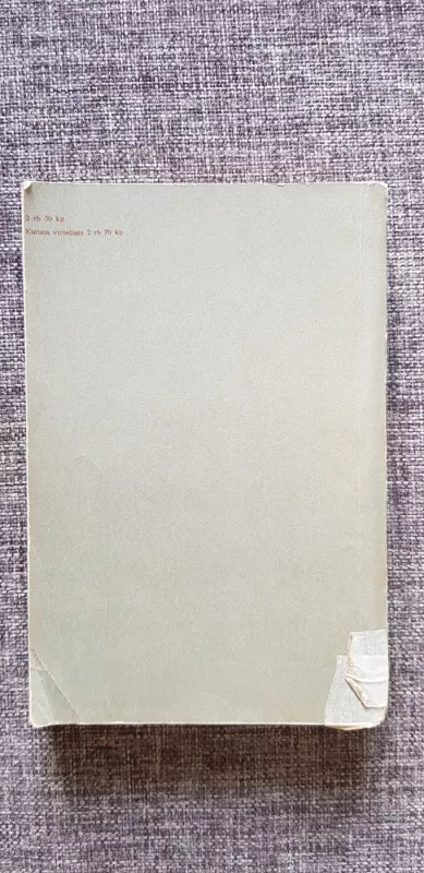 Džeinė Eir - Šarlotė Brontė, knyga 3