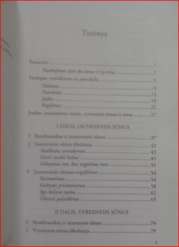 Sūnaus palaidūno sugrįžimas - Henri J.M. Nouwen, knyga 4