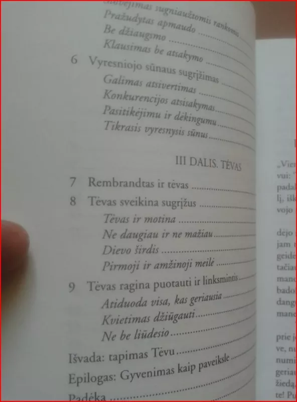 Sūnaus palaidūno sugrįžimas - Henri J.M. Nouwen, knyga 5