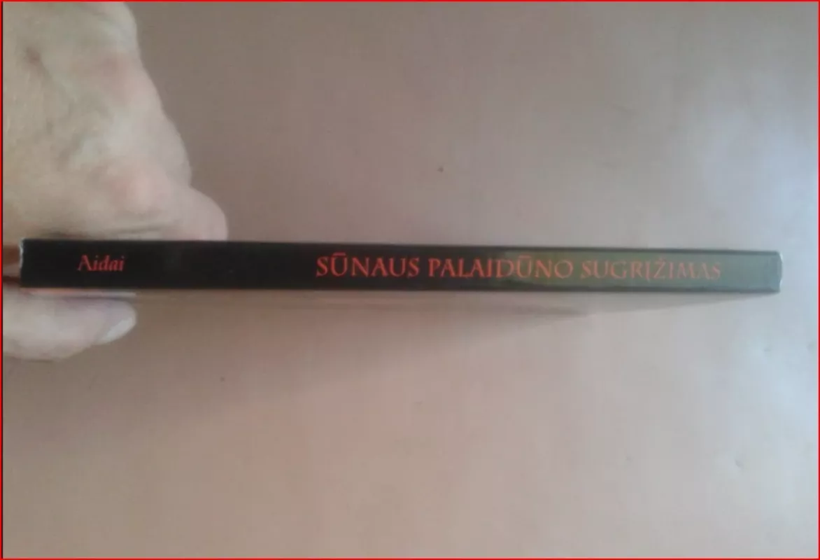 Sūnaus palaidūno sugrįžimas - Henri J.M. Nouwen, knyga 3